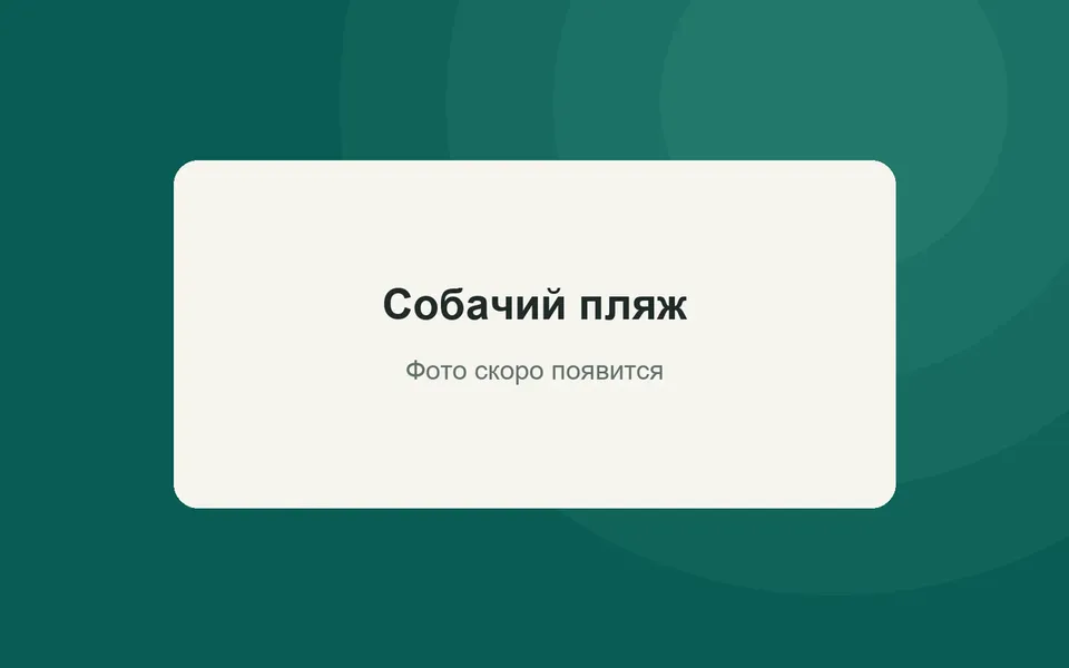 Собачий пляж